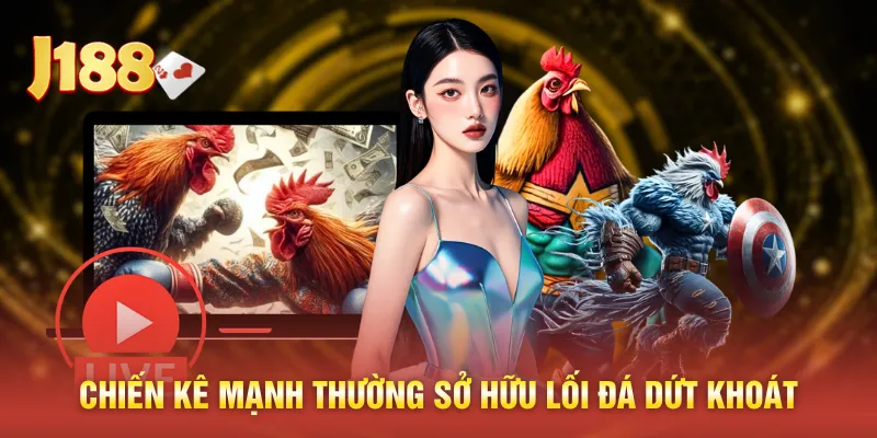 Chiến kê mạnh thường sở hữu lối đá dứt khoát