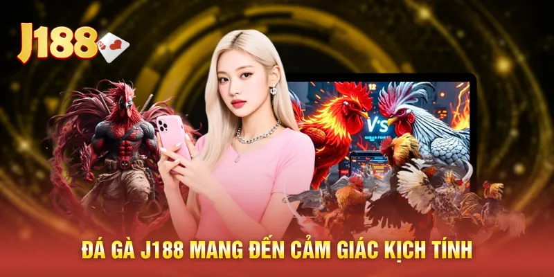 Đá gà J188 mang đến cảm giác kịch tính
