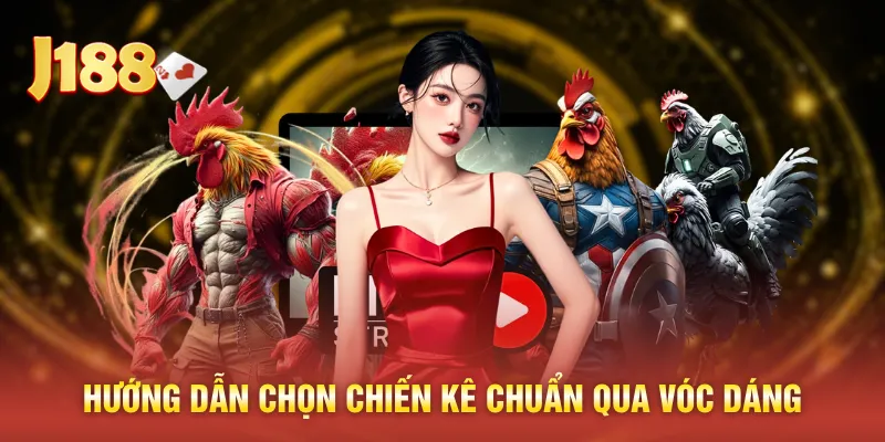 Hướng dẫn chọn chiến kê chuẩn qua vóc dáng