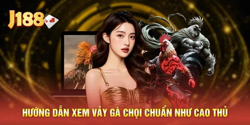 Hướng dẫn xem vảy gà chọi chuẩn như cao thủ