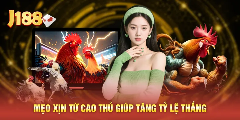 Mẹo xịn từ cao thủ giúp tăng tỷ lệ thắng