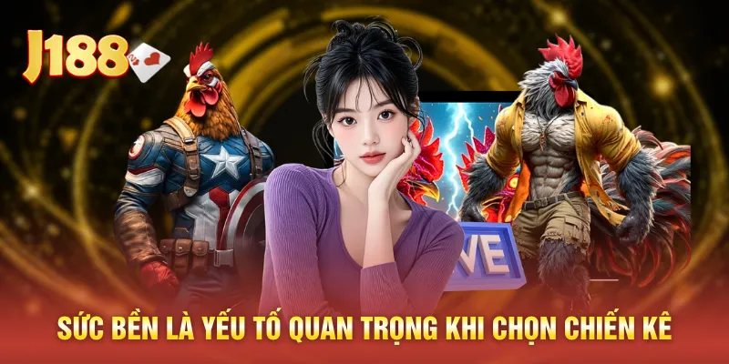 Sức bền là yếu tố quan trọng khi chọn chiến kê