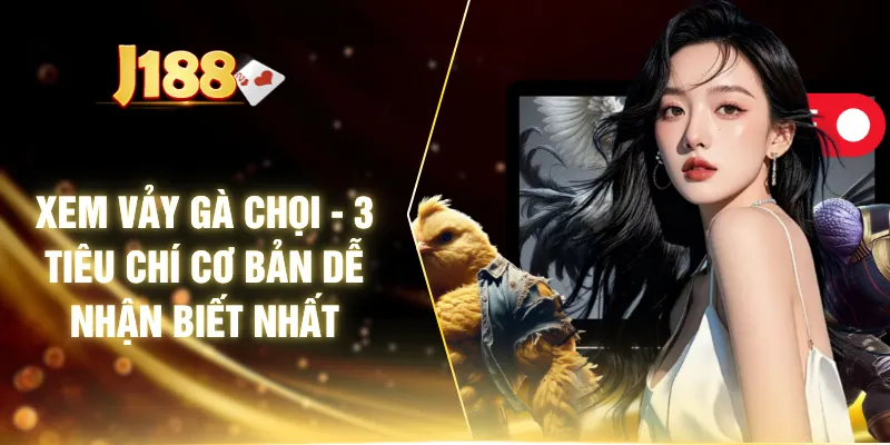 Xem Vảy Gà Chọi - 3 Tiêu Chí Cơ Bản Dễ Nhận Biết Nhất